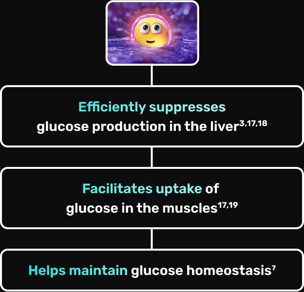 An animated beta cell with a happy expression; Efficiency suppresses glucose production in the liver; Facilitates uptake of glucose in the muscles; Helps maintain glucose homeostasis