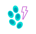Beta cells and a lightning bolt