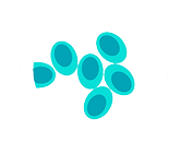 Beta cells