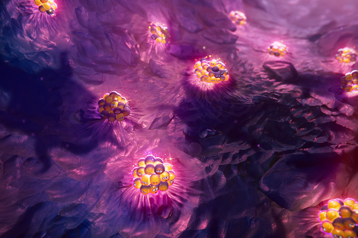 Further zoomed out clusters of animated beta cells with worried expressions